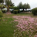 Entire 50m From Sea - Spiros