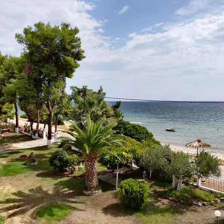 Entire 50m From Sea - Spiros Apartment