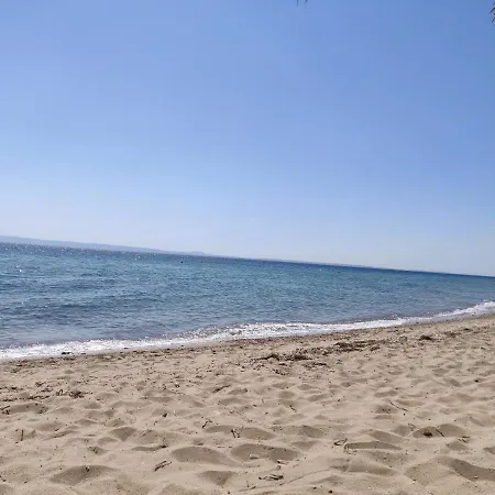 Apartment Entire 50m From Sea - Spiros Metamorfosi (Sithonia)
