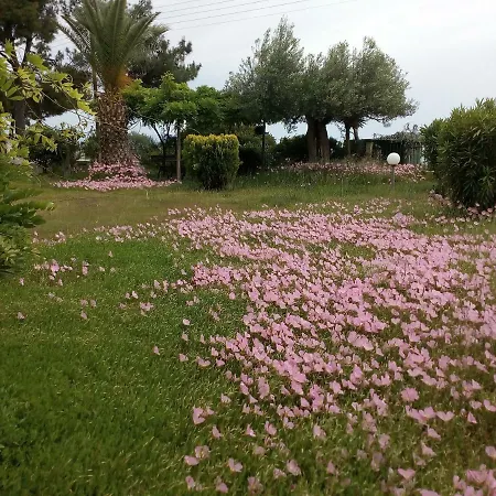 Entire 50m From Sea - Spiros