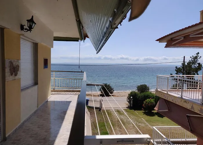 Entire 50m From Sea - Spiros 公寓 *