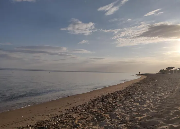 公寓 Entire 50m From Sea - Spiros