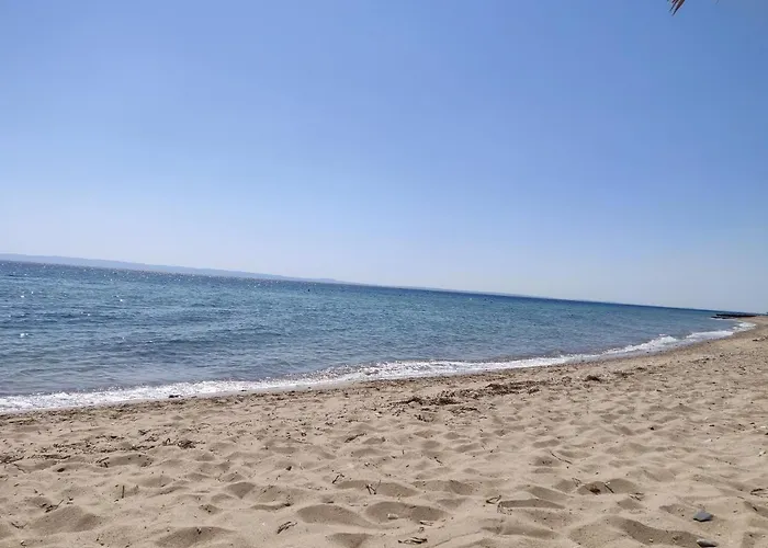 公寓 Entire 50m From Sea - Spiros 美塔摩尔弗斯