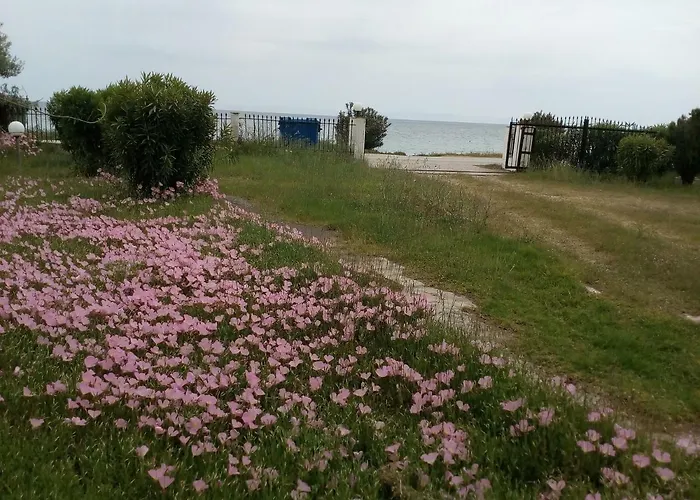 Entire 50m From Sea - Spiros 美塔摩尔弗斯
