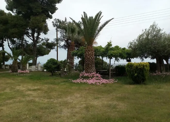 公寓 Entire 50m From Sea - Spiros 美塔摩尔弗斯