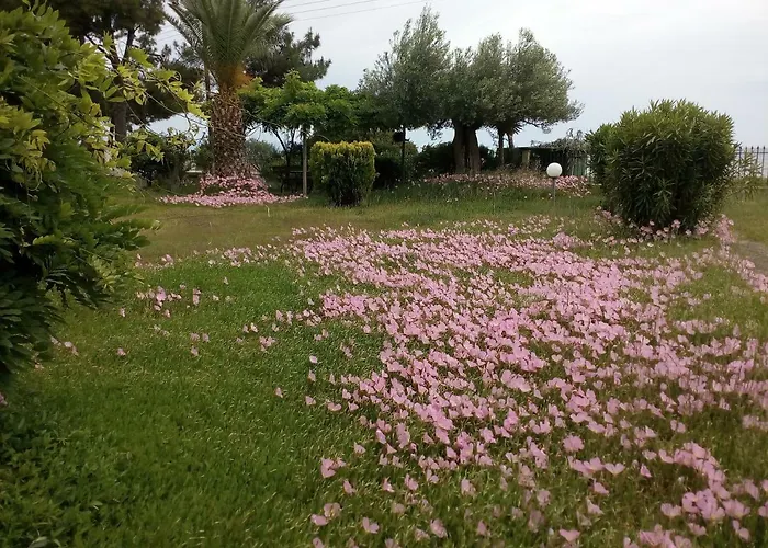 Entire 50m From Sea - Spiros