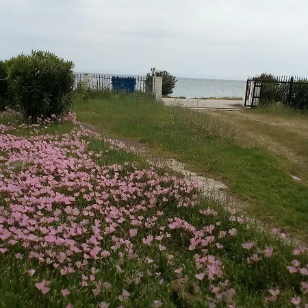 Entire 50m From Sea - Spiros Metamorfosi (Sithonia)